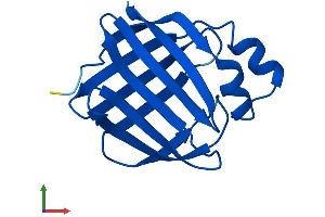AlphaFold protein structure predicition of Human Recombinant RBP7 Protein, UniprotID Q96R05 (RBP7 Protein (AA 1-134) (His tag))