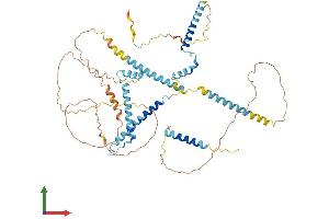 Protein Structure (PS) image for Nuclear Speckle Splicing Regulatory Protein 1 (NSRP1) (AA 1-558) protein (His tag) (ABIN7549940)