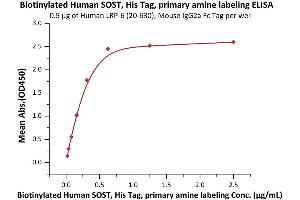 Immobilized Human LRP-6 (20-630), Mouse IgG2a Fc Tag (ABIN6923175,ABIN6938849) at 5 μg/mL (100 μL/well) can bind Biotinylated Human SOST, His Tag, primary amine labeling (ABIN2181784,ABIN2181783) with a linear range of 0. (Sclerostin Protein (SOST) (AA 24-213) (His tag,Biotin))