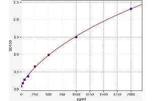 Nuclear Factor (erythroid-Derived 2)-Like 2 (NFE2L2) ELISA Kit