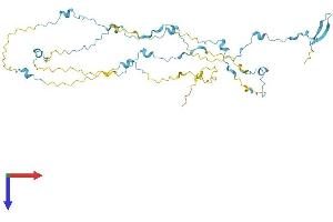 AlphaFold protein structure predicition of Human Recombinant SAXO2 Protein, UniprotID Q658L1 (FAM154B Protein (AA 1-398) (His tag))