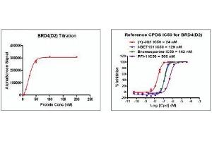 Recombinant BRD4 (333-460) activity using AlphaScreen. (BRD4 Protein (AA 333-460) (His tag,DYKDDDDK Tag))