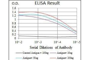 Black line: Control Antigen (100 ng), Purple line: Antigen(10 ng), Blue line: Antigen (50 ng), Red line: Antigen (100 ng), (HSF4 antibody)