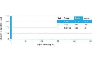 Analysis of Protein Array containing more than 19,000 full-length human proteins using EGFR Mouse Monoclonal Antibody (GFR/450) Z- and S- Score: The Z-score represents the strength of a signal that a monoclonal antibody (MAb) (in combination with a fluorescently-tagged anti-IgG secondary antibody) produces when binding to a particular protein on the HuProtTM array. (EGFR antibody  (Extracellular Domain))