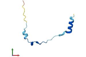 Protein Structure (PS) image for Thymosin beta-4 (TMSB4X) (AA 1-50) protein (Fc Tag) (ABIN7562944)