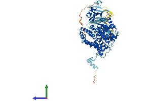AlphaFold protein structure predicition of Mouse Recombinant Pde10a Protein, UniprotID Q8CA95 (PDE10A Protein (AA 1-790) (His tag))