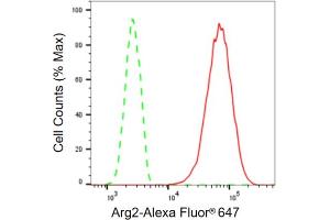 Flow cytometric analysis of Arg2 expression in HT- cells using Arg2 antibody (ABIN7797644), 1:2,000). (Recombinant ARG2 antibody)