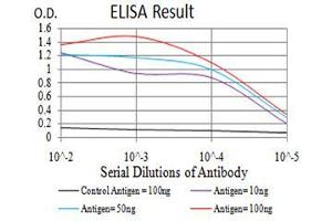 Black line: Control Antigen (100 ng), Purple line: Antigen(10 ng), Blue line: Antigen (50 ng), Red line: Antigen (100 ng), (DDX20 antibody  (AA 725-824))