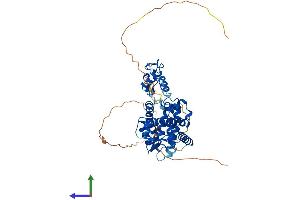 Protein Structure (PS) image for Retinoic Acid Receptor, alpha (RARA) (AA 1-462) protein (His tag) (ABIN7555122)
