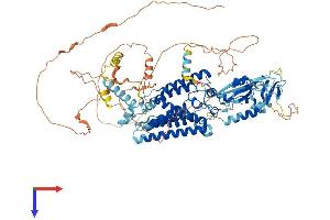 RHBDF2 Protein (AA 1-827) (His tag)