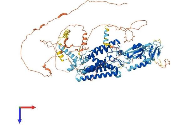 RHBDF2 Protein (AA 1-827) (His tag)