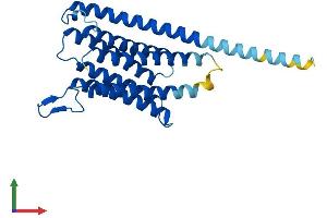 AlphaFold protein structure predicition of Human Recombinant TMEM45A Protein, UniprotID Q9NWC5 (TMEM45A Protein (AA 1-275) (His tag))