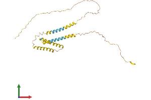 AlphaFold protein structure predicition of Human Recombinant ODF4 Protein, UniprotID Q2M2E3 (ODF4 Protein (AA 1-257) (His tag))