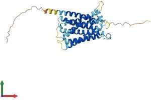 AlphaFold protein structure predicition of Mouse Recombinant Mrgprh Protein, UniprotID Q99MT8 (MRGPRH Protein (AA 1-321) (His tag))