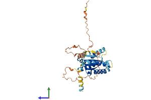 AlphaFold protein structure predicition of Human Recombinant C2orf72 Protein, UniprotID A6NCS6 (C2ORF72 Protein (AA 1-295) (His tag))