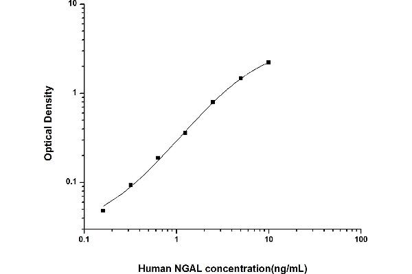 Lipocalin 2 ELISA Kit