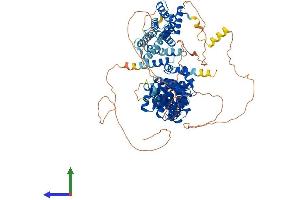 Protein Structure (PS) image for Eukaryotic Translation Initiation Factor 4 gamma 2 (EIF4G2) (AA 1-906) protein (His tag) (ABIN7563971)