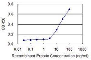 Detection limit for recombinant GST tagged SIRT3 is 3 ng/ml as a capture antibody. (SIRT3 antibody  (AA 297-399))