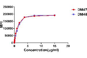 Affinity ranking of different Rabbit anti-ACE2 mAb clones by titration of different concentration onto Expi 293 cell line transfected with human ACE2. (Recombinant ACE2 antibody  (AA 18-740))