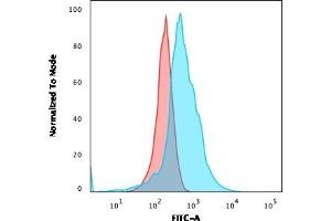 CD21 antibody  (AA 142-240)