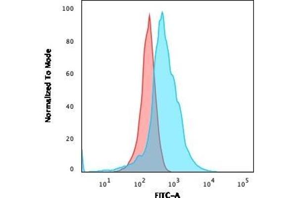 CD21 antibody  (AA 142-240)