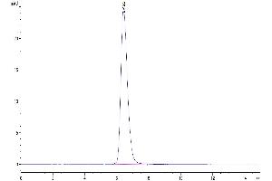 Size-exclusion chromatography-High Pressure Liquid Chromatography (SEC-HPLC) image for CD28 (CD28) (AA 18-153) protein (mFc Tag) (ABIN7274247)