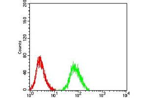 Flow cytometric analysis of SH-SY5Y cells using CHRNA6 mouse mAb (green) and negative control (red).