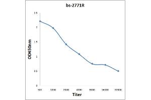 Antigen: 0. (PRKAA2 antibody  (AA 351-450))