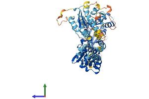 AlphaFold protein structure predicition of Mouse Recombinant Rhobtb3 Protein, UniprotID Q9CTN4 (RHOBTB3 Protein (AA 1-611) (His tag))