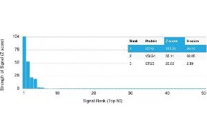 Analysis of Protein Array containing more than 19,000 full-length human proteins using CD14 Mouse Monoclonal Antibody (LPSR/2397) Z- and S- Score: The Z-score represents the strength of a signal that a monoclonal antibody (MAb) (in combination with a fluorescently-tagged anti-IgG secondary antibody) produces when binding to a particular protein on the HuProtTM array. (CD14 antibody  (AA 25-148))