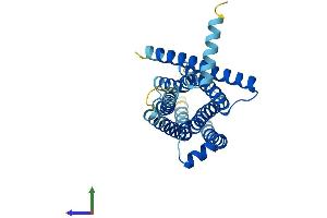 AlphaFold protein structure predicition of Mouse Recombinant Tas2r13 Protein, UniprotID Q7M720 (TAS2R13 Protein (AA 1-305) (His tag))