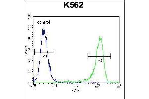 Flow Cytometry (FACS) image for anti-MutL Homolog 1 (MLH1) (AA 452-480) antibody (ABIN5531594)