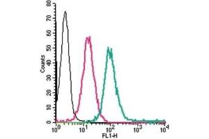 Cell surface detection of ADORA2A in live intact human THP-1 monocytic leukemia cells: (black line) Cells. (Adenosine A2a Receptor antibody  (2nd Extracellular Loop))