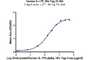 Immobilized Human IL-17F, His Tag at 5 μg/mL (100 μL/well) on the plate. (IL17F Protein (AA 31-163) (His tag))