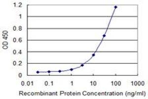 Detection limit for recombinant GST tagged PRMT3 is 0. (PRMT3 antibody  (AA 41-139))