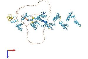 AlphaFold protein structure predicition of Human Recombinant ZNF761 Protein, UniprotID Q86XN6 (ZNF761 Protein (AA 1-746) (His tag))