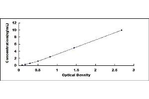 Typical standard curve (CDK5 ELISA Kit)