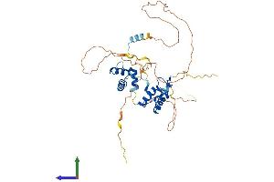 Protein Structure (PS) image for Paired Box 5 (PAX5) (AA 1-391) protein (His tag) (ABIN7550633)