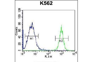 Flow cytometric analysis of K562 cells (right histogram) compared to a negative control cell (left histogram). (Parathymosin antibody  (C-Term))