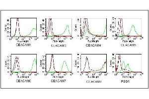 BOSC23 cells were transiently transfected with expression vectorscontaining either the cDNA of CEACAM1, CEACAM3-8 or PSG. (CEACAM8 antibody)