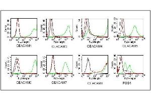 BOSC23 cells were transiently transfected with expression vectorscontaining either the cDNA of CEACAM1, CEACAM3-8 or PSG.