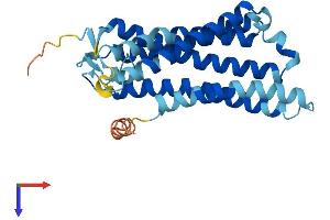 AlphaFold protein structure predicition of Human Recombinant OR10J6P Protein, UniprotID Q8NGY7 (OR10J6P Protein (AA 1-276) (His tag))