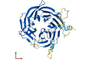 Protein Structure (PS) image for WD Repeat Domain 73 (WDR73) (AA 1-378) protein (His tag) (ABIN7545141)