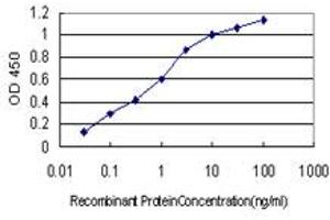 Detection limit for recombinant GST tagged FHIT is approximately 0. (FHIT antibody  (AA 31-130))