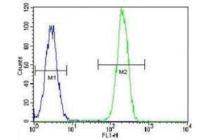 NPM1 antibody flow cytometric analysis of HeLa cells (green) compared to a negative control (blue). (NPM1 antibody  (AA 198-226))