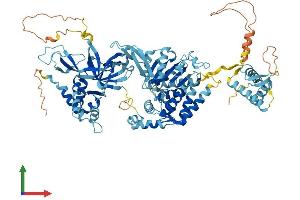 AlphaFold protein structure predicition of Mouse Recombinant Mcm6 Protein, UniprotID P97311 (MCM6 Protein (AA 1-821) (His tag))