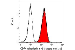 Donkey anti-Mouse IgG (Heavy & Light Chain) antibody (DyLight 488)