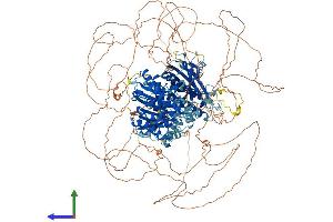 AlphaFold protein structure predicition of Human Recombinant FAM135A Protein, UniprotID Q9P2D6 (FAM135A Protein (AA 1-1515) (His tag))