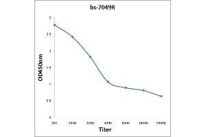 Antigen: 0. (TNFAIP2 antibody  (AA 551-654))