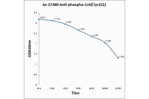 Antigen: 0. (CrkL antibody  (pTyr251))